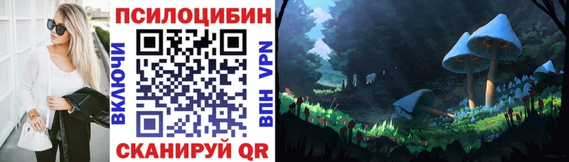 mega как войти  купить наркотик  Павловск  Галлюциногенные грибы мицелий 