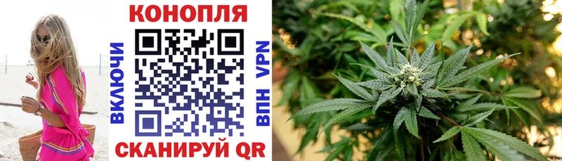 Бошки Шишки гибрид Павловск